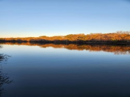 Turner Point River NE 835 Street
