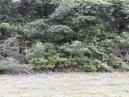 Lot 6 Hwy 349 St. Louis