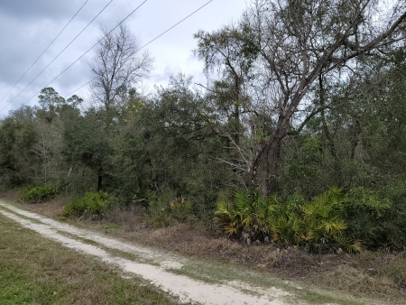 Lot 27 100 NE 975 Street Old Town: Px4 px4