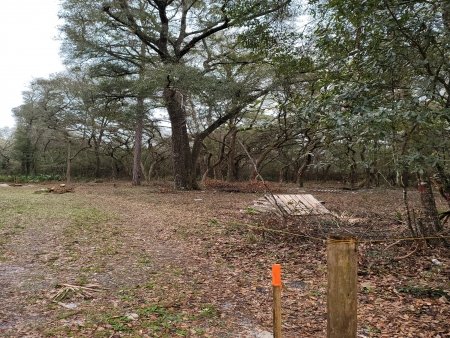 Owens Forrest Park Hills: Px2 px2