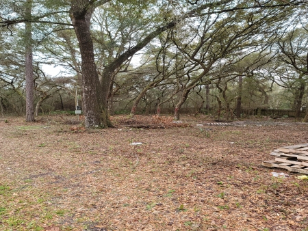 Owens Forrest Park Hills: Px3 px3
