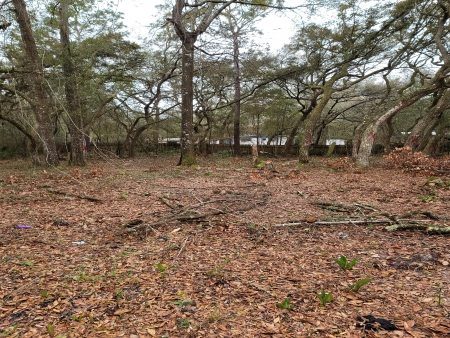 Owens Forrest Park Hills: Px4 px4