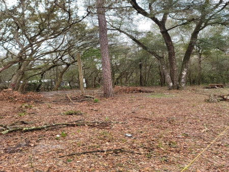 Owens Forrest Park Hills: Px5 px5