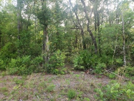 Suwannee River Hillcrest lot 113: Px3 px3