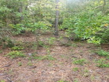 Suwannee River Hillcrest lot 113: Px4 px4