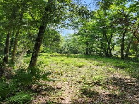 9.61 Acres NW 110th Ave: Px4 px4