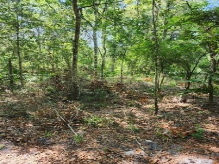 9.61 Acres NW 110th Ave: Px5 px5