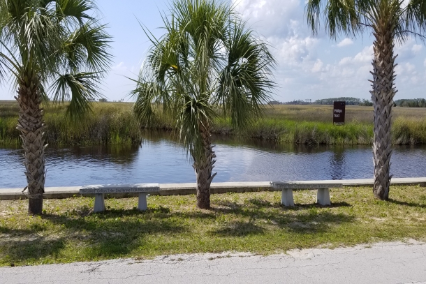 Benches along the main raod
