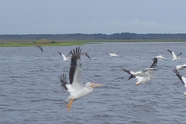 At the channel markers