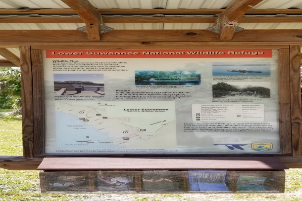 Take the Dixie Mainline through the Lower Suwannee Wildlife Refuge