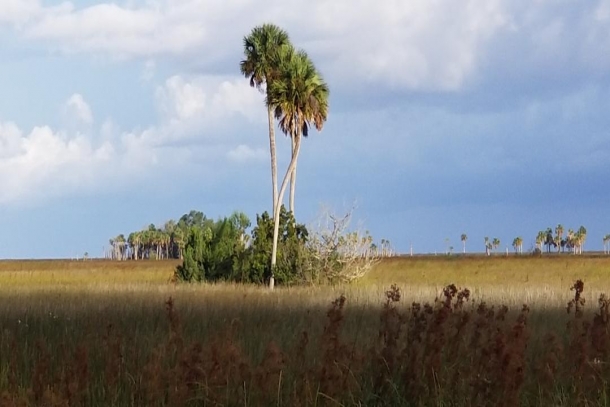 Trinity Island