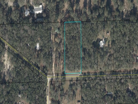 Holly Hammock 2 Ac 306 Ave